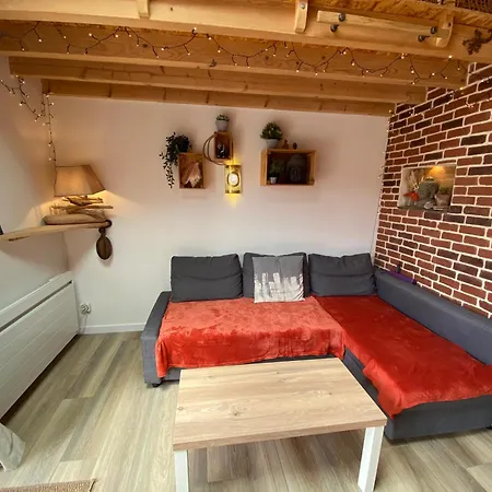 Nid Chaleureux Proche De L'ocean Ferienhaus Lacanau